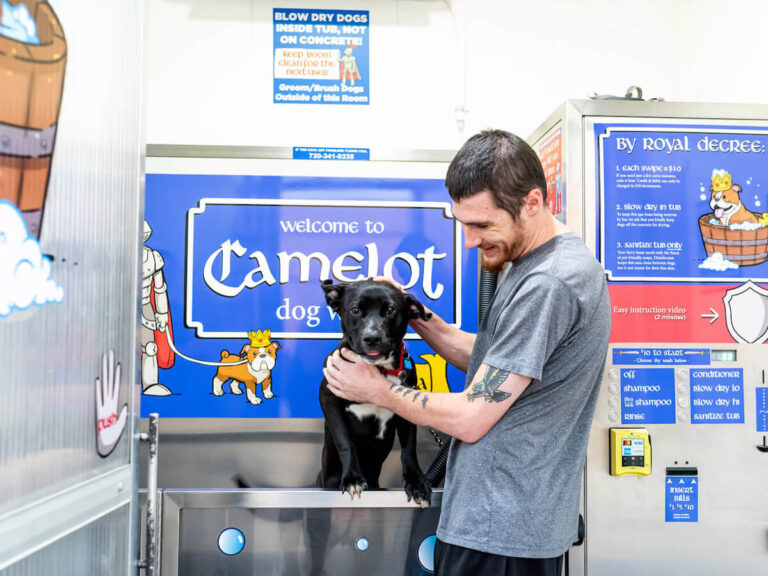 Camelot Car & Dog Wash