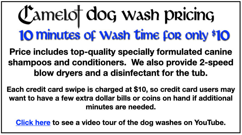 Dog Wash Price